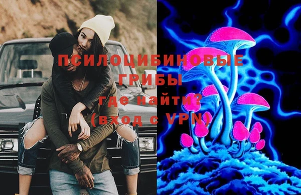 ПСИЛОЦИБИНОВЫЕ ГРИБЫ Балахна