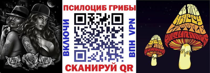 Псилоцибиновые грибы MAGIC MUSHROOMS  Купить закладки  Иланский 